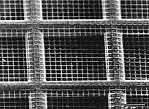 Quantifoil® TEM Substrates