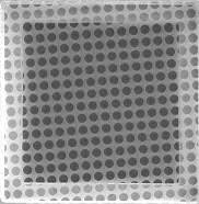 Quantifoil® TEM Substrates