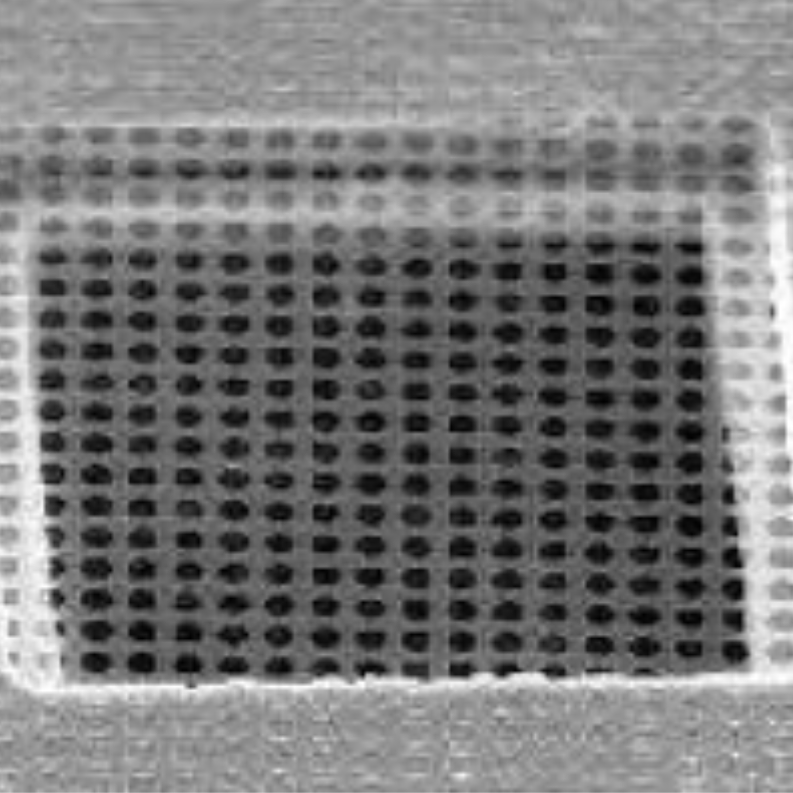 Quantifoil® Orthogonal Array of 1.2µm Diameter Holes with about 1.3µm Separation – (R 1.2/1.3)
