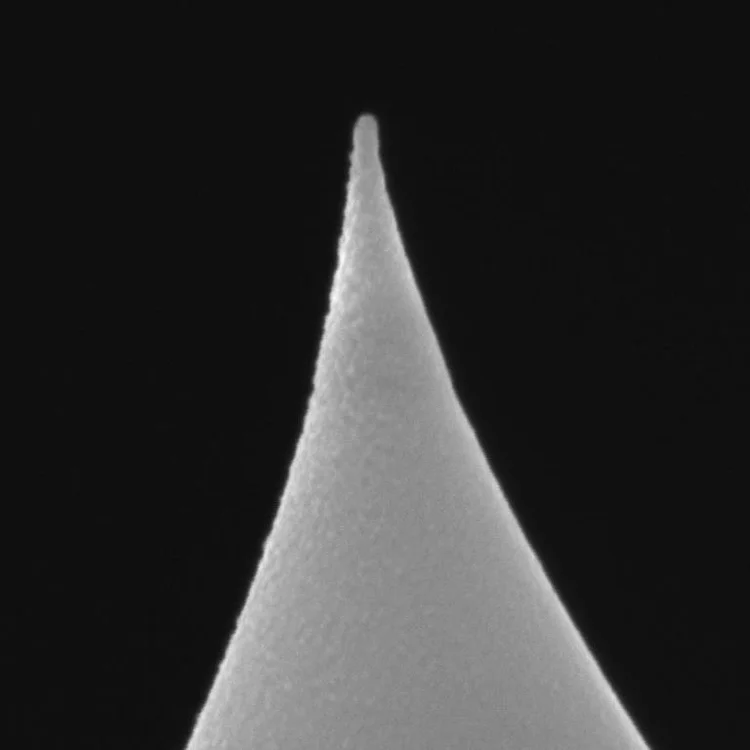 NuNano SPARK 350 Pt Platinum Coated AFM Tip