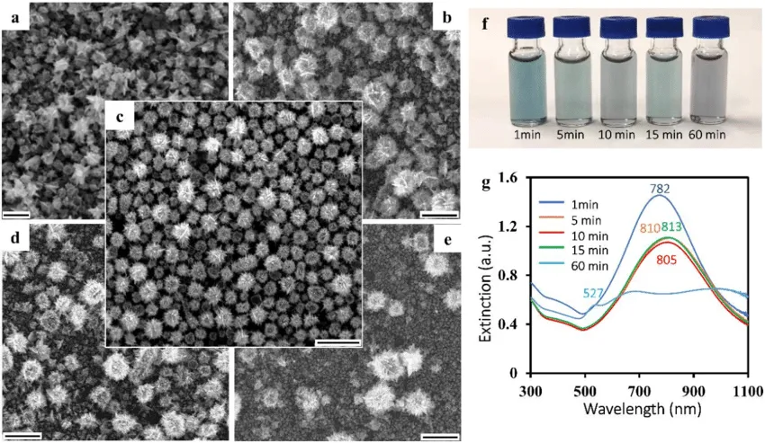Scanning electron microscopy SEM images of Au-Ag gold-silver alloy nanoparticles — materials science research India — Global Bioscience Solutions GBS