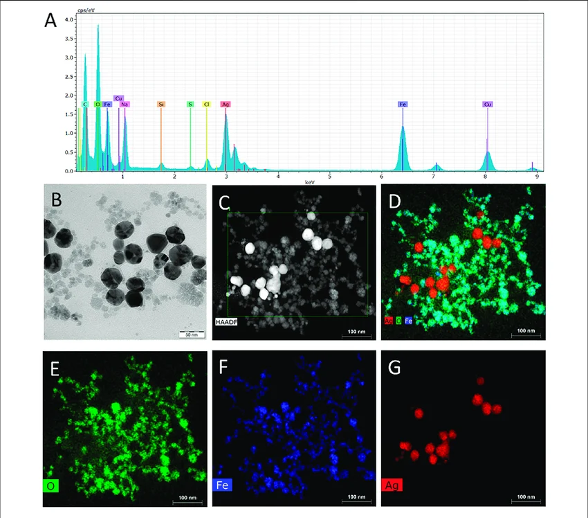 Energy dispersive X-ray spectroscopy EDS spectrum showing elemental peaks — elemental analysis with SEM India — Global Bioscience Solutions GBS