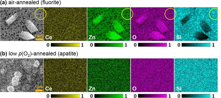 EDS elemental maps showing Ce cerium Zn zinc O oxygen and Si silicon distribution — energy dispersive X-ray spectroscopy elemental mapping India GBS SEM