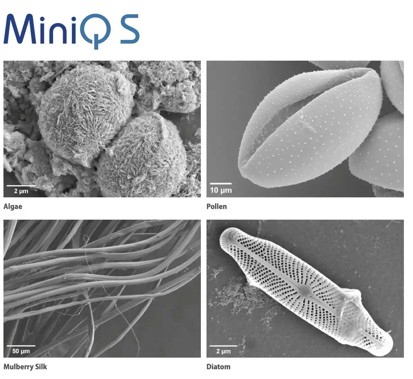 Quorum MiniQ-S sputter carbon coater closeup view — SEM sample preparation benchtop system