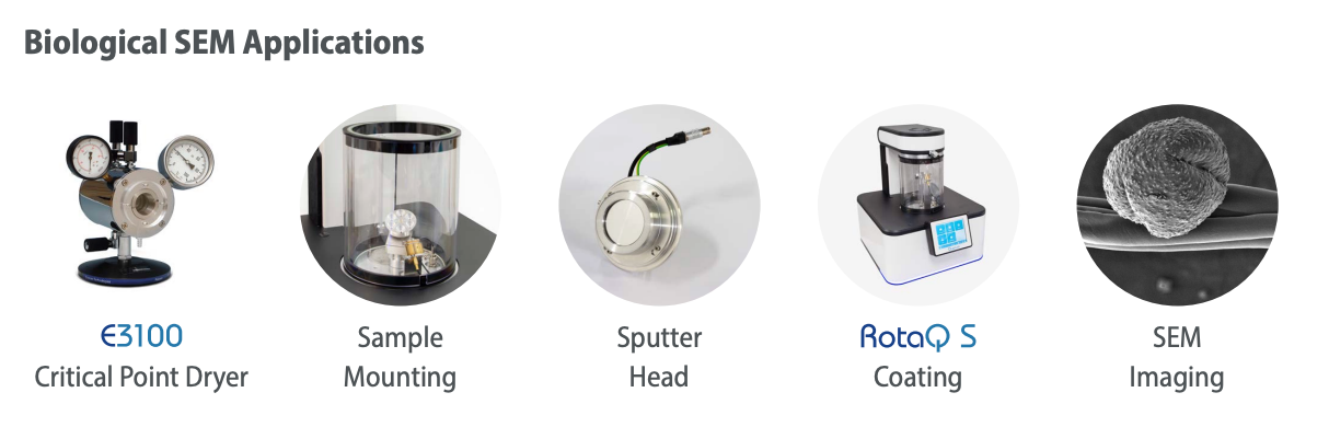 Quorum RotaQ-S sputter coater for biological SEM applications — gold coating biological tissue pollen cell samples India
